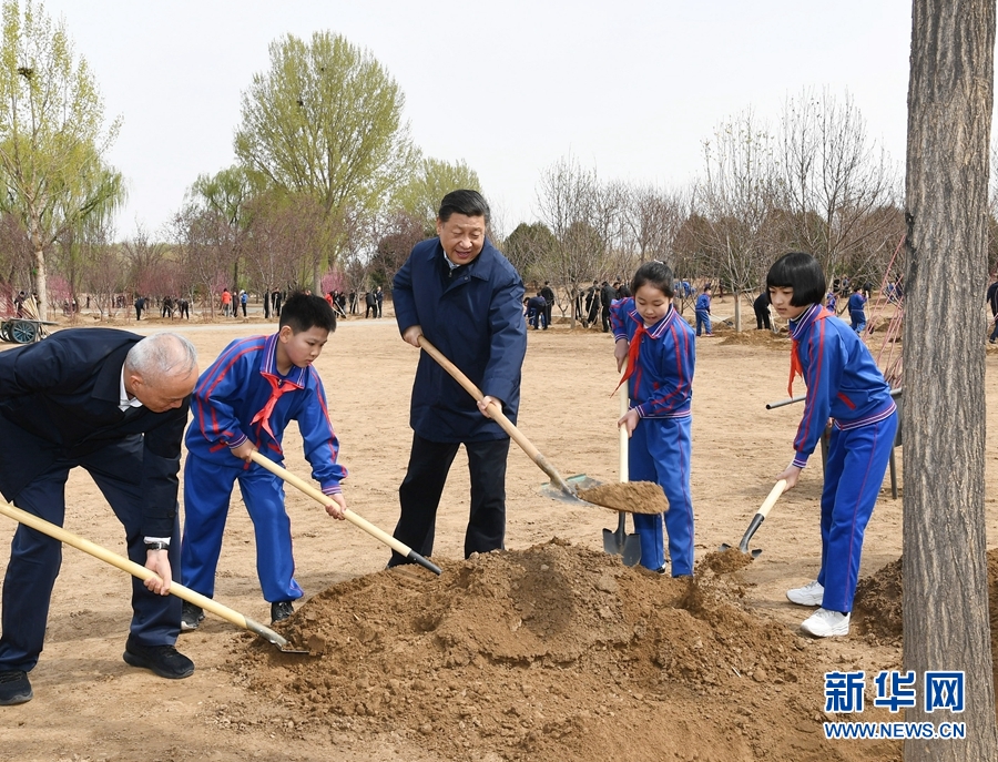 習近平：推動國土綠化不斷取得實實在在的成效
