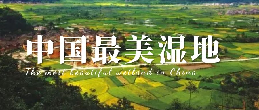 奇聞科普 | 中國(guó)最美濕地，你的家鄉(xiāng)上榜了嗎？