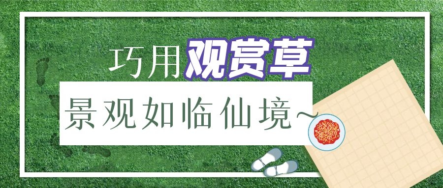 巧用觀賞草，景觀如臨仙境~