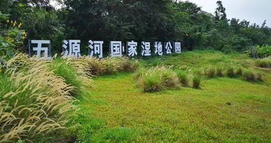 【案例賞析】?？谖逶春訃?guó)家濕地公園
